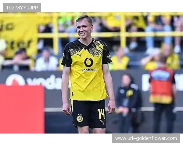 多特蒙德新援拜尔身披14号球衣，转会费达2850万欧元